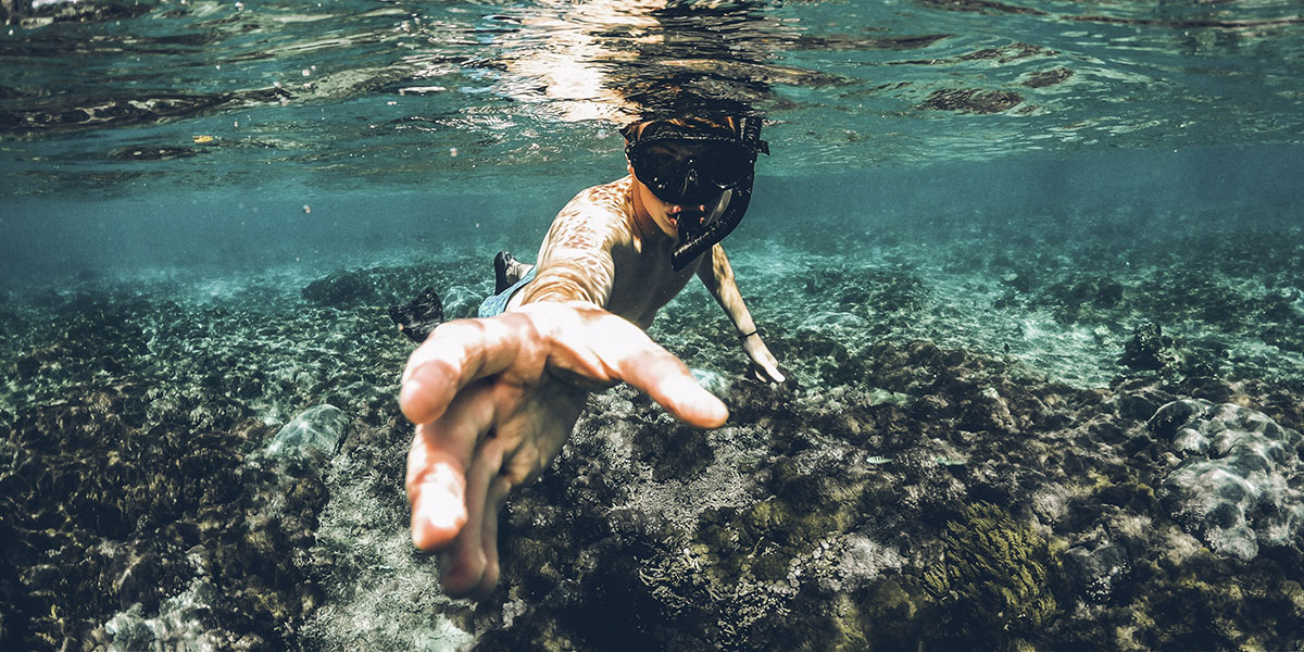 A person diving into the water.